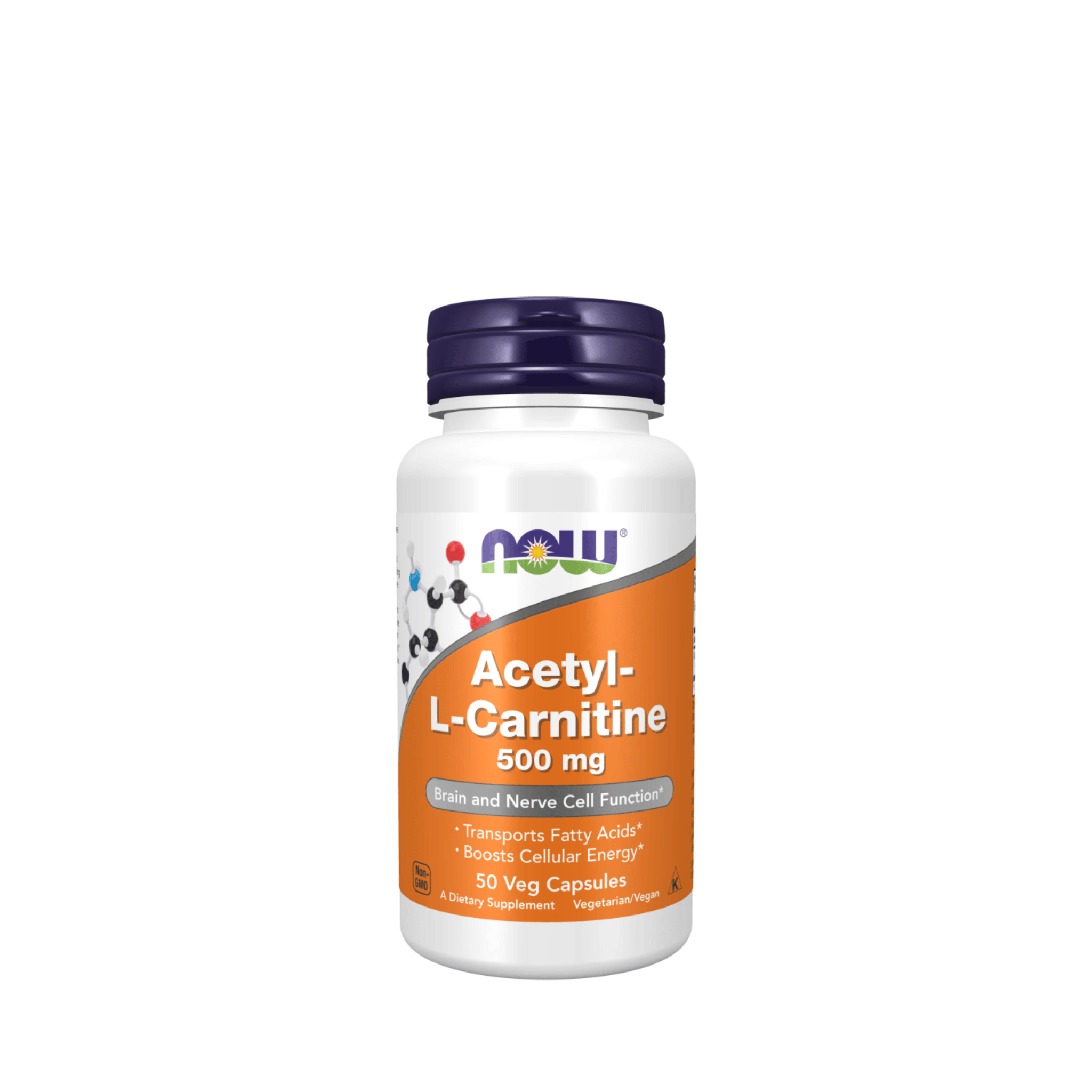 Acetyl L-Carnitine